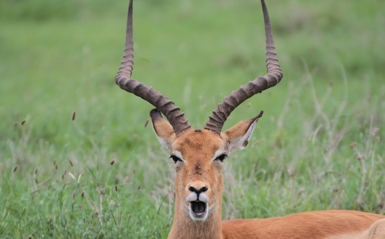 6 Day | Back Packers Flaunt