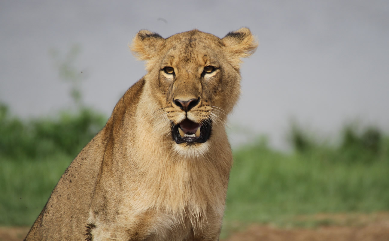 6 Day | Best of Kenya