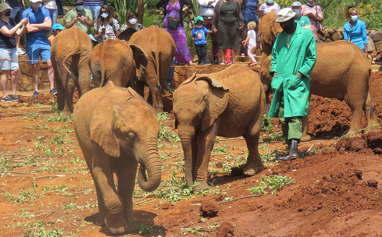 1 Day | Nairobi Full Day